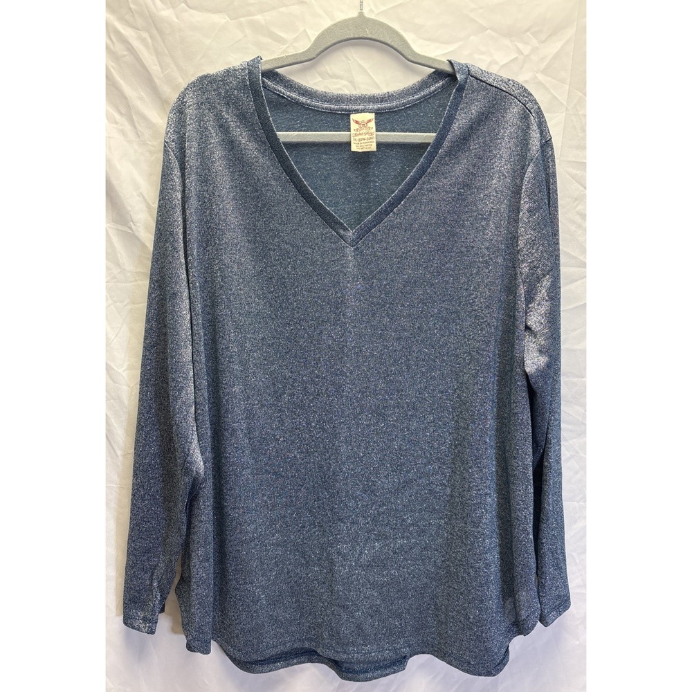 Faded Glory 3X Blue Metallic Shimmer V-Neck Long Sleeve Tunic Top Plus Size